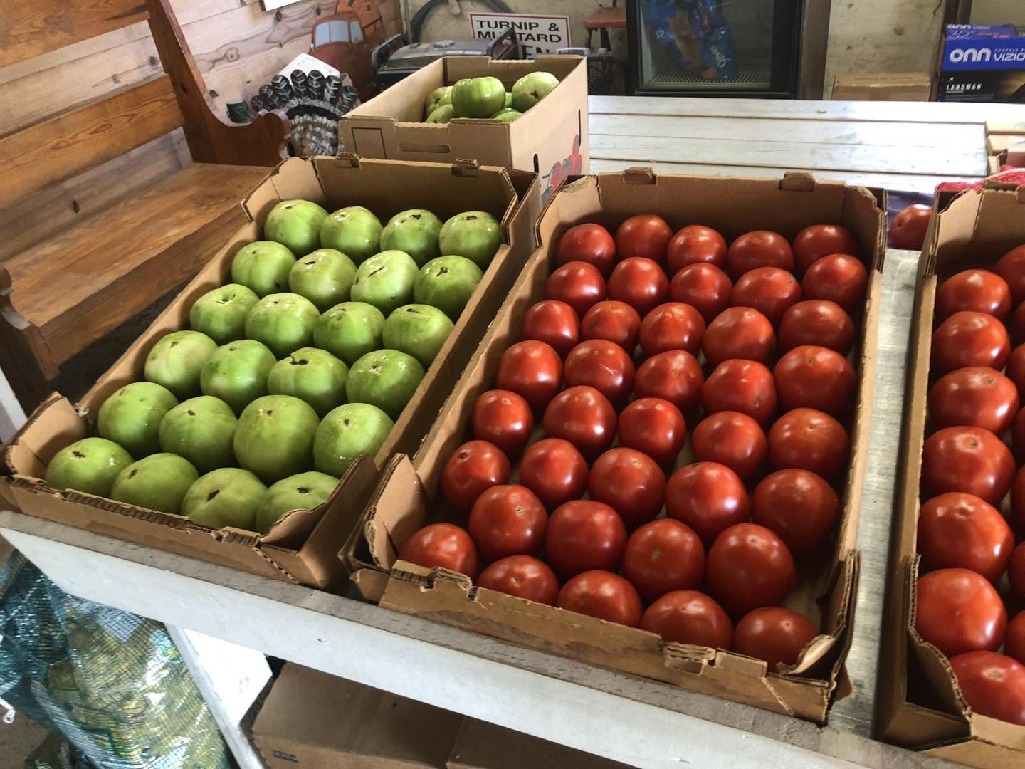 Red and green tomatoes for sale